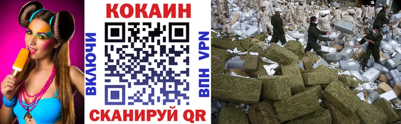 Cocaine FishScale  Купить закладки  Волосово 